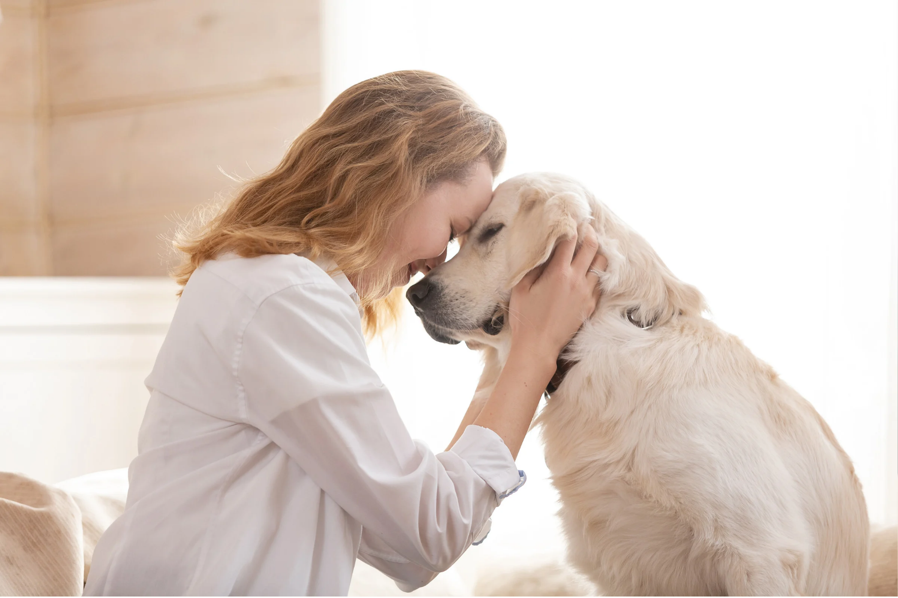 Pet Loss Support landing page